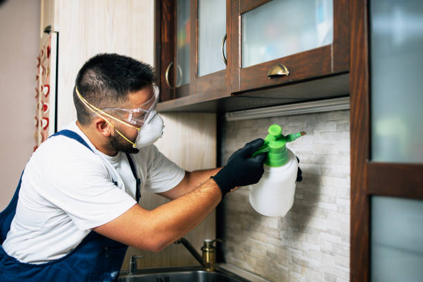 Best Affordable Pest Control Services  in Shady Point, OK