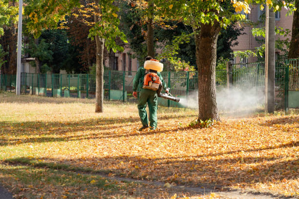Best Pest Prevention Services  in Shady Point, OK