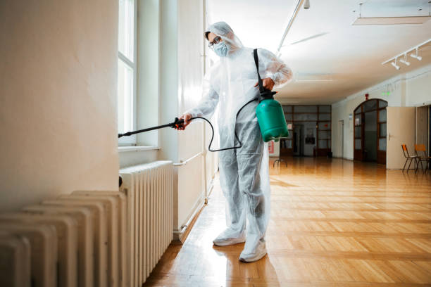 Best Affordable Pest Control Services  in Shady Point, OK