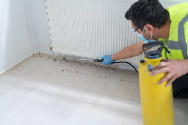 Best Local Pest Control Services  in Shady Point, OK