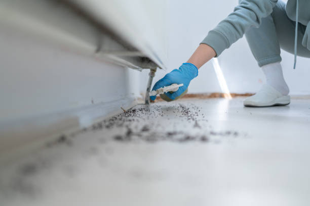 Best Best Pest Control Companies  in Shady Point, OK